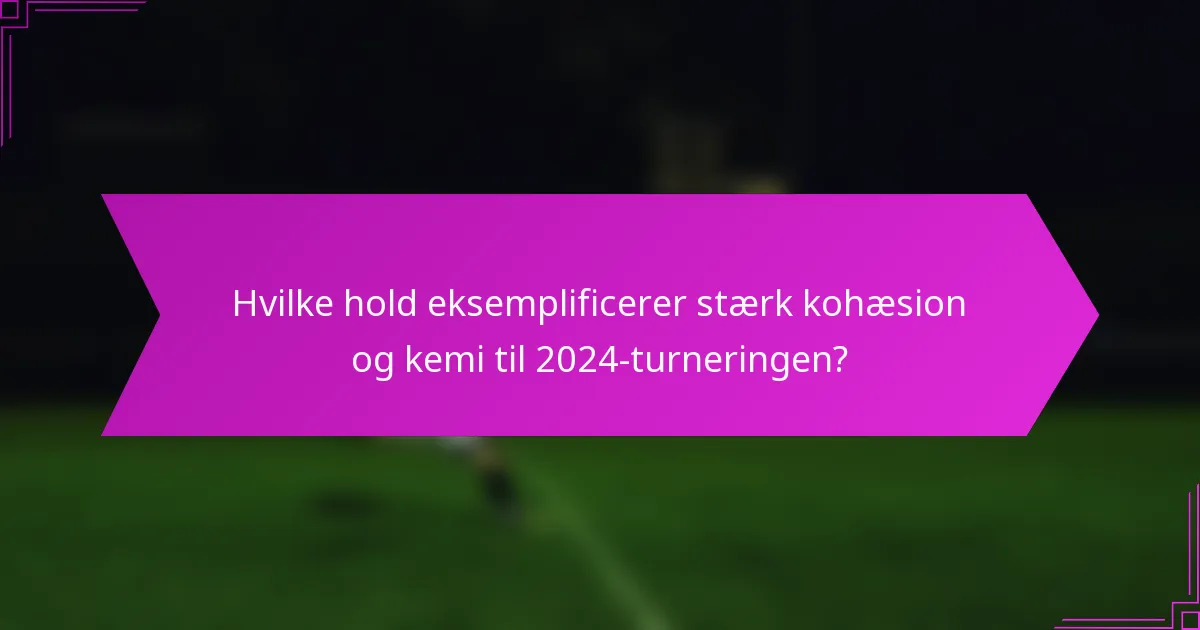 Hvilke hold eksemplificerer stærk kohæsion og kemi til 2024-turneringen?